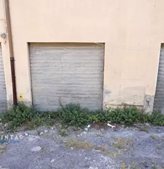Foto annuncio 11