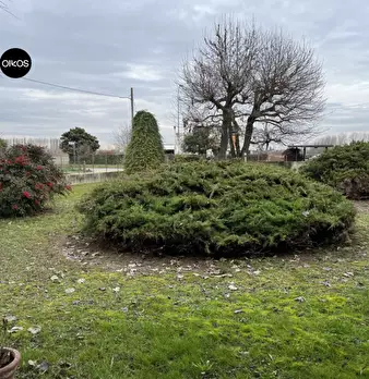 Foto annuncio 11