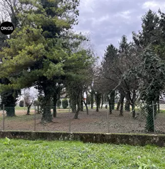 Foto annuncio 13