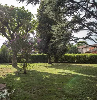 Foto annuncio 27