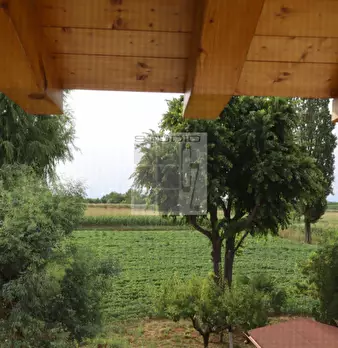 Foto annuncio 12