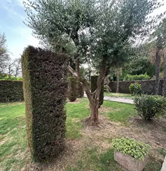 Foto annuncio 13