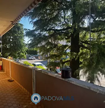Foto annuncio 24