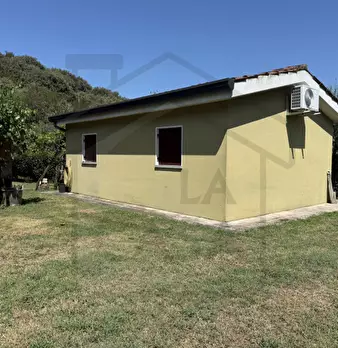 Foto annuncio 1