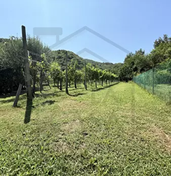 Foto annuncio 4