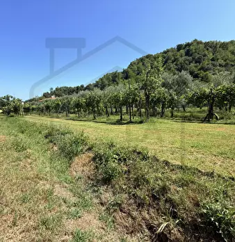 Foto annuncio 6