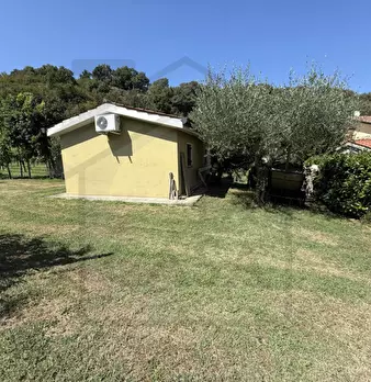 Foto annuncio 8