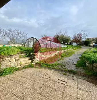 Foto annuncio 7