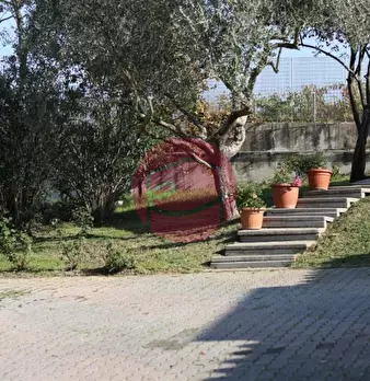 Foto annuncio 11