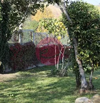 Foto annuncio 12