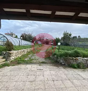 Foto annuncio 14