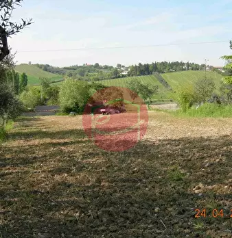 Foto annuncio 39