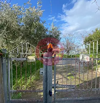 Foto annuncio 40