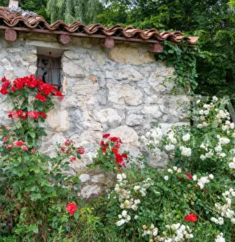 Foto annuncio 5