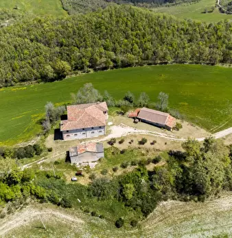 Foto annuncio 9