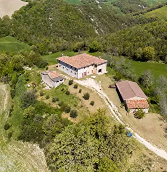 Foto annuncio 10