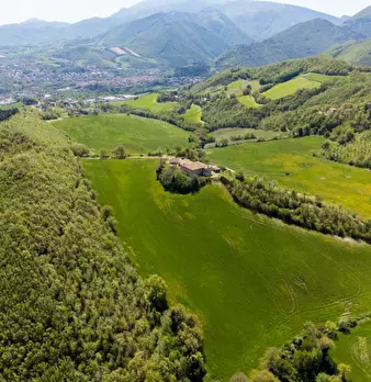 Foto annuncio 12