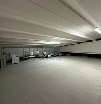 Foto annuncio 39