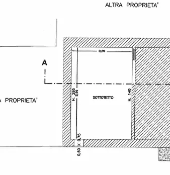 Foto annuncio 31