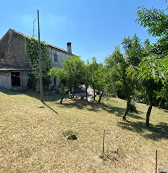 Foto annuncio 4
