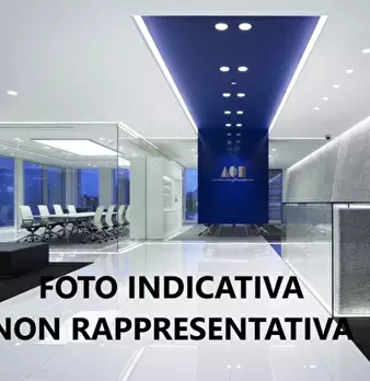 Foto annuncio 7