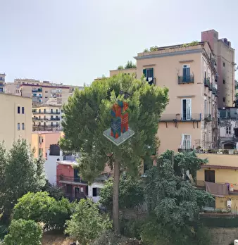 Foto annuncio 32