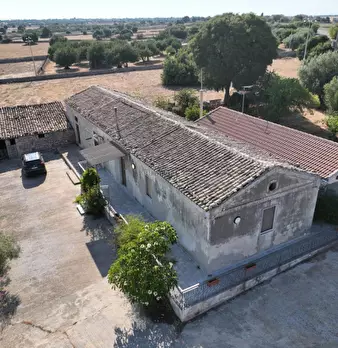 Foto annuncio 10