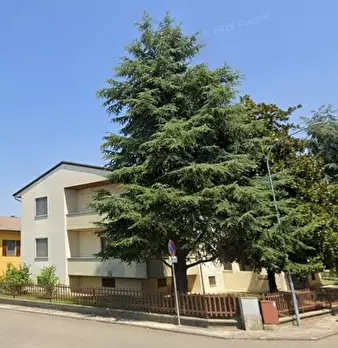 Foto annuncio 1