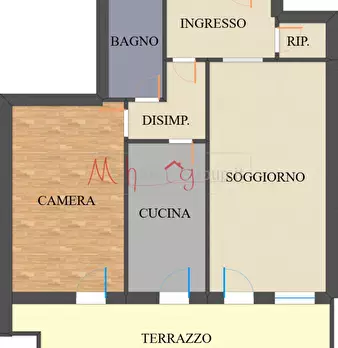 Foto annuncio 24