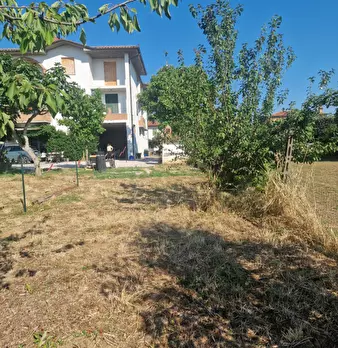 Foto annuncio 5