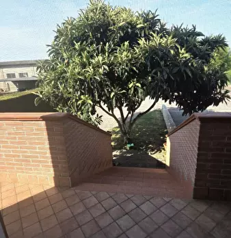 Foto annuncio 21