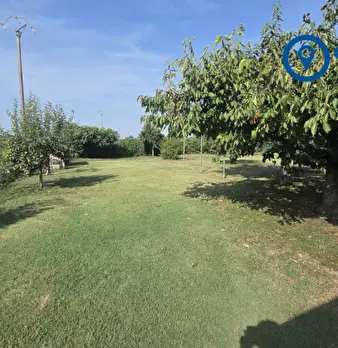 Foto annuncio 48