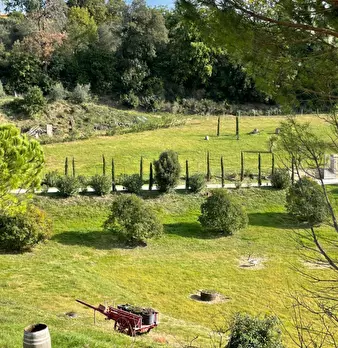 Foto annuncio 7