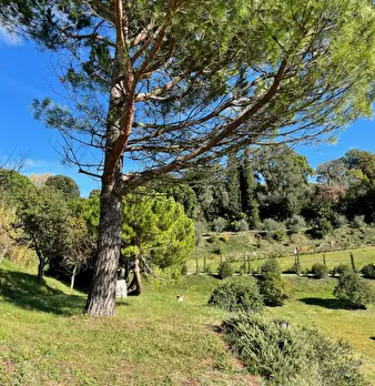 Foto annuncio 14