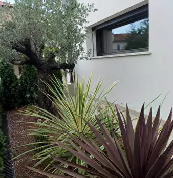 Foto annuncio 36