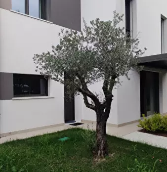Foto annuncio 39