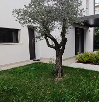 Foto annuncio 40