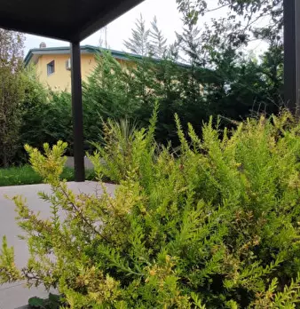 Foto annuncio 41