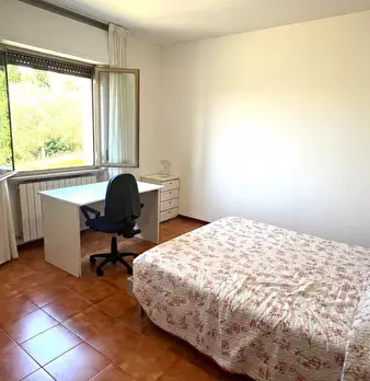 Foto annuncio 15