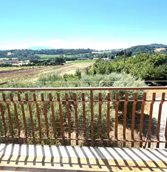 Foto annuncio 22