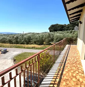 Foto annuncio 24