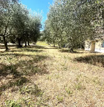 Foto annuncio 32
