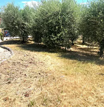 Foto annuncio 33