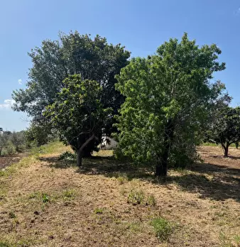 Foto annuncio 4