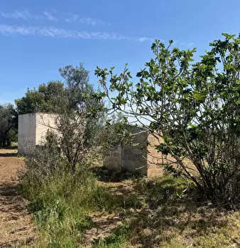 Foto annuncio 6