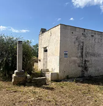 Foto annuncio 9