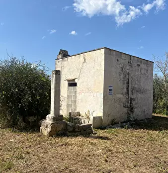 Foto annuncio 10