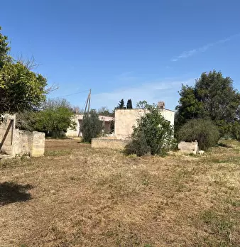Foto annuncio 11
