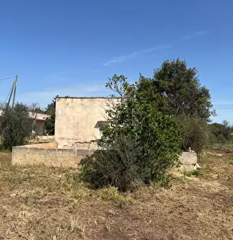 Foto annuncio 12
