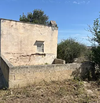 Foto annuncio 13